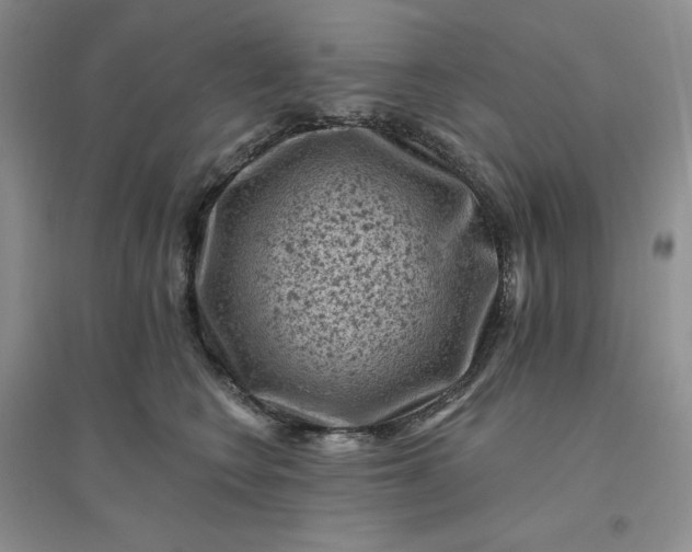 X0000096410566200802071657