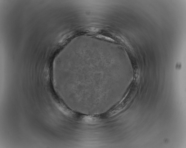 X0000096410568200802071657