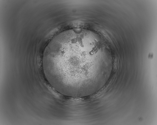 X0000096410569200802071657