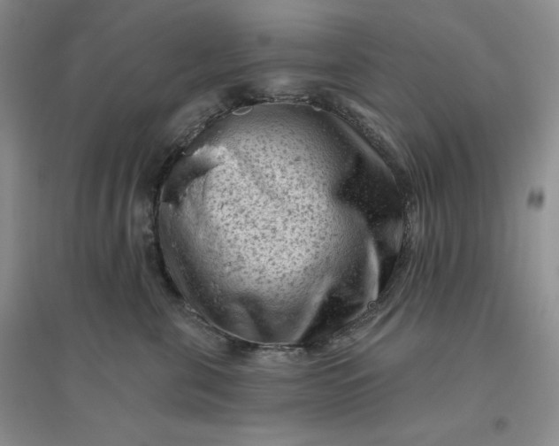 X0000096410571200802071657