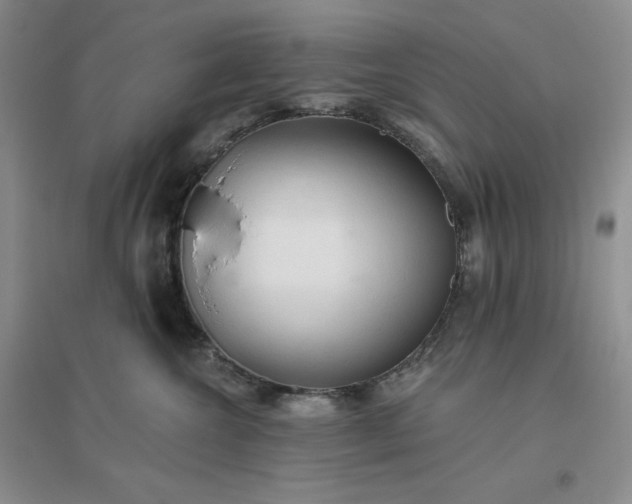 X0000096410572200802071657