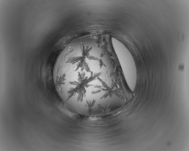 X0000096410573200802071657