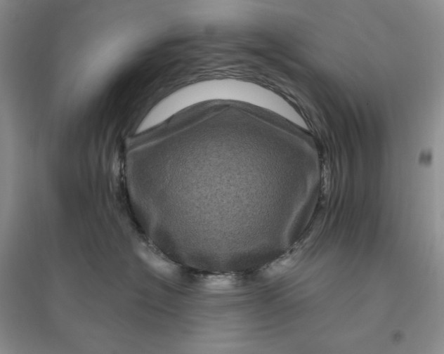 X0000096410574200802071657