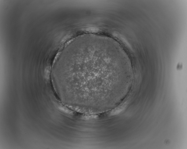 X0000096410576200802071657