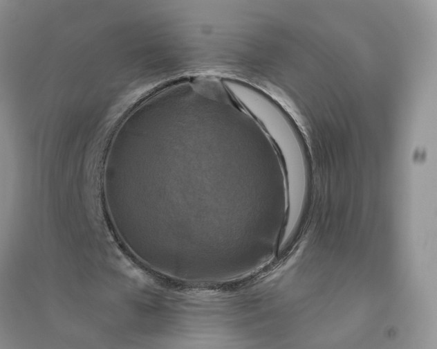 X0000096410577200802071656