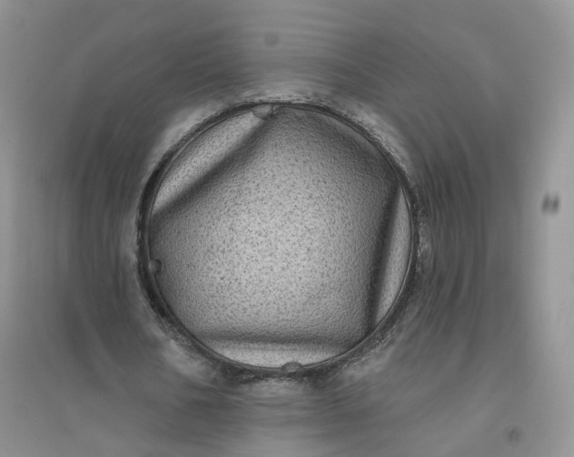 X0000096410578200802071656
