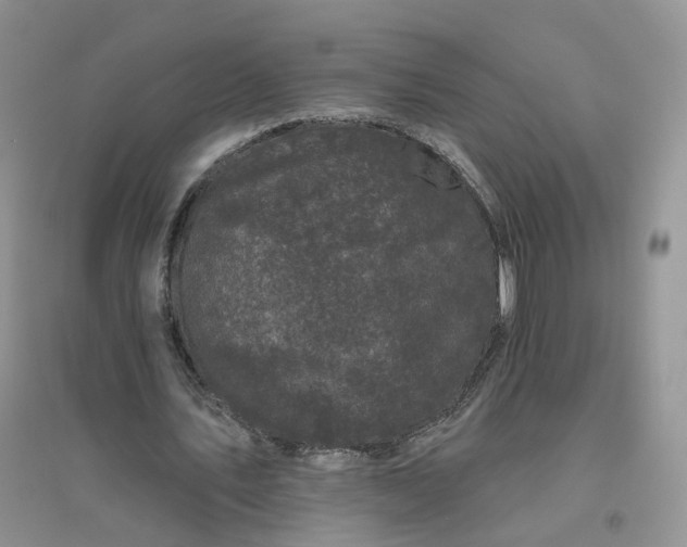 X0000096410579200802071656
