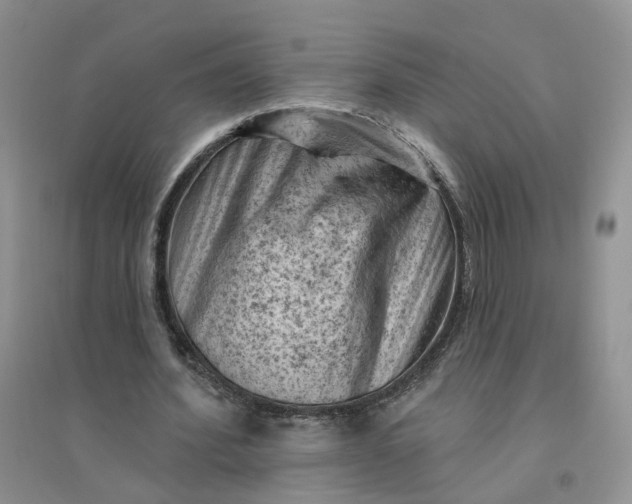 X0000096410580200802071656