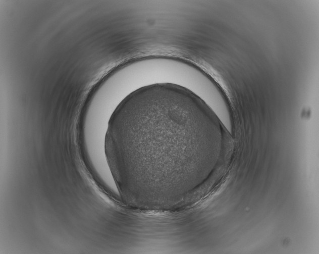 X0000096410581200802071656