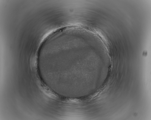 X0000096410583200802071656