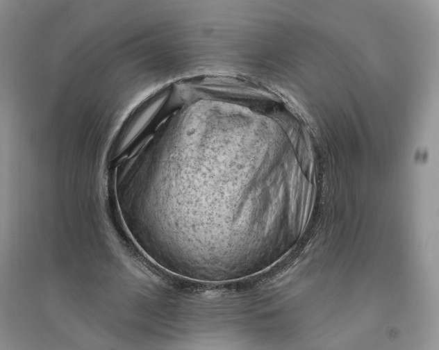 X0000096410584200802071656