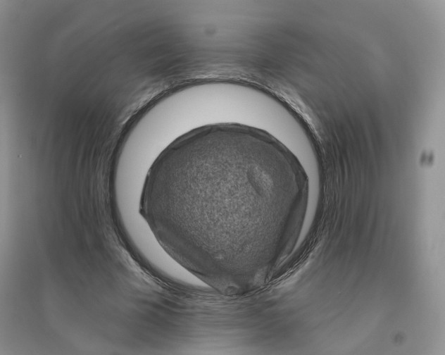 X0000096410585200802071656