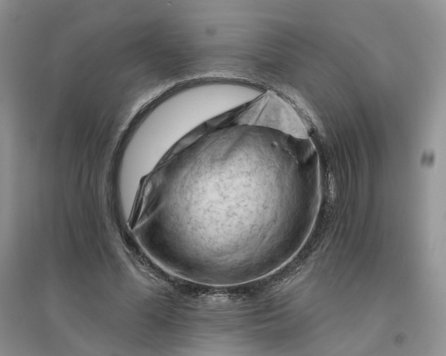 X0000096410588200802071656