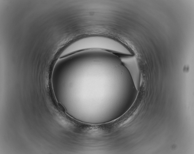 X0000096410589200802071656