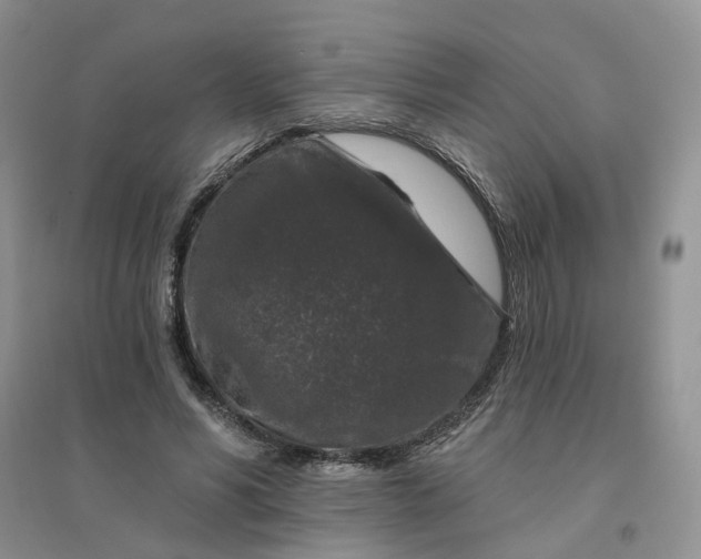 X0000096410590200802071656