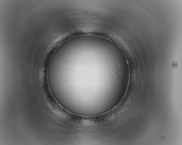 X0000096410592200802071656
