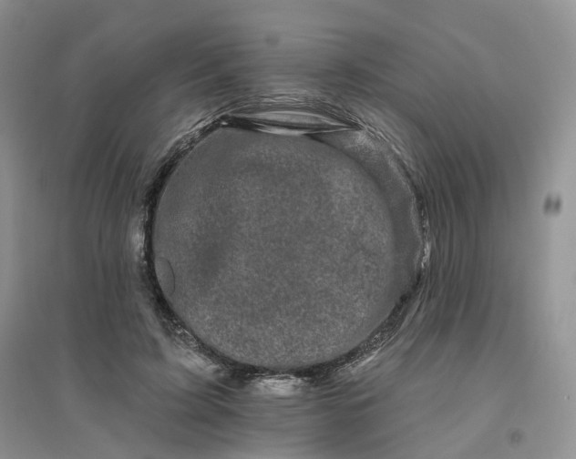 X0000096410595200802071656