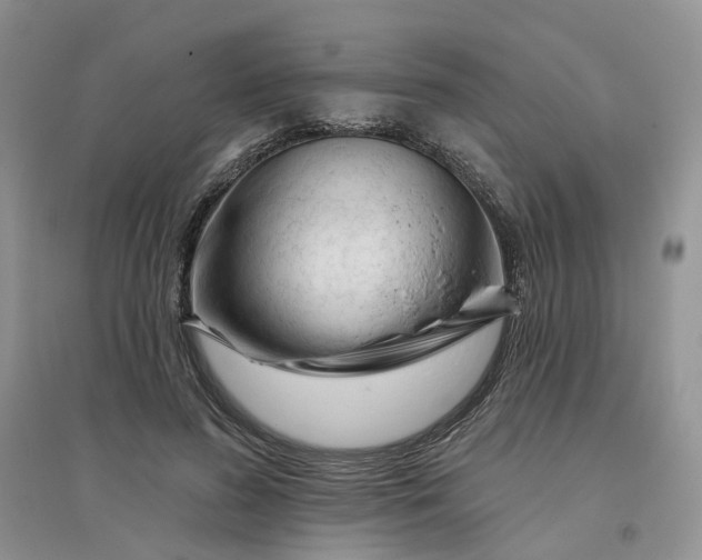X0000096410596200802071656