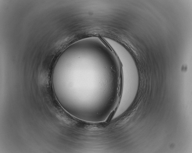 X0000096410597200802071656