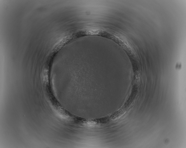 X0000096410598200802071656
