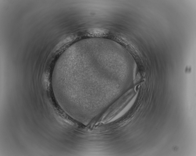 X0000096410599200802071656
