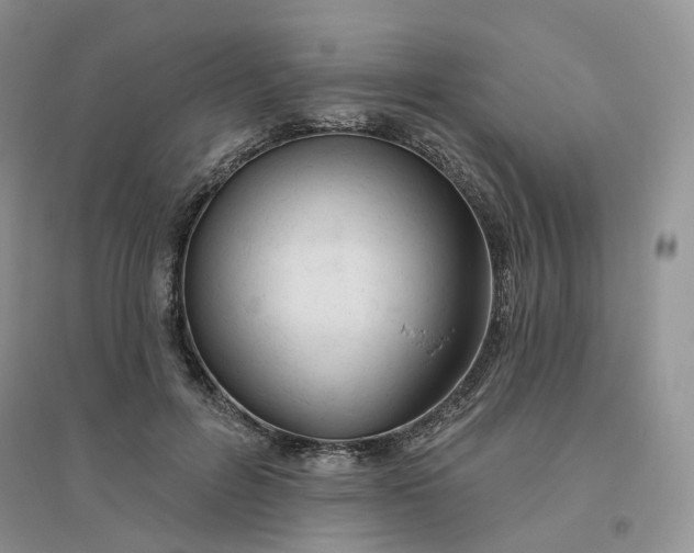 X0000096410600200802071656