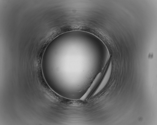 X0000096410601200802071656