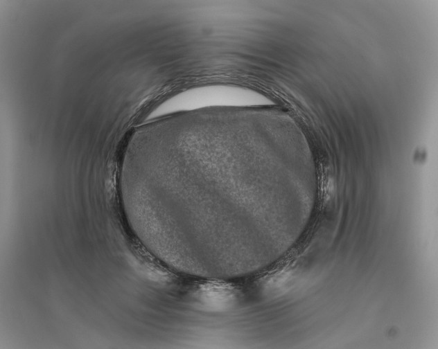 X0000096410603200802071656