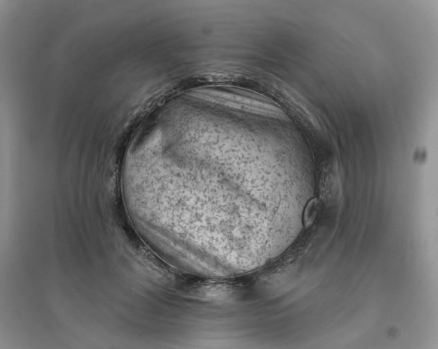 X0000096410604200802071656