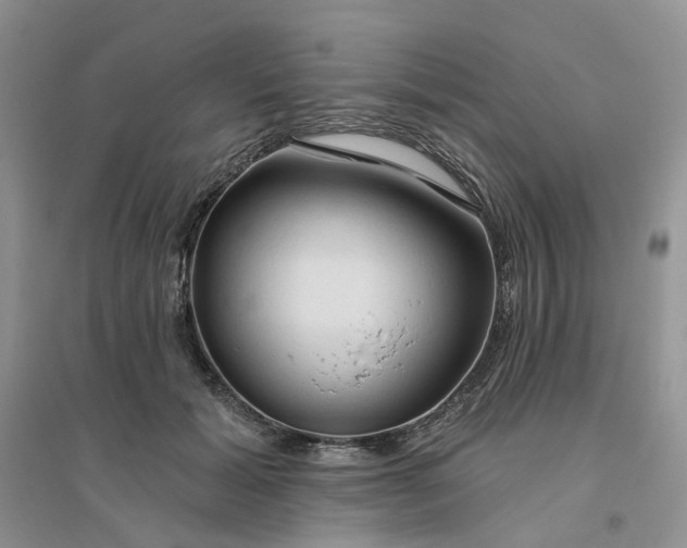 X0000096410605200802071656