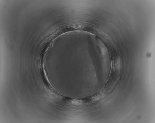 X0000096410606200802071656