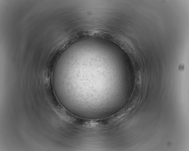 X0000096410607200802071656