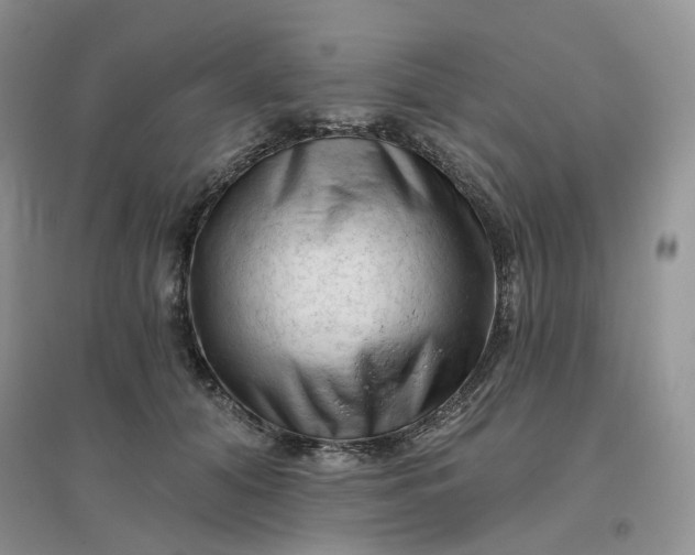 X0000096410608200802071656