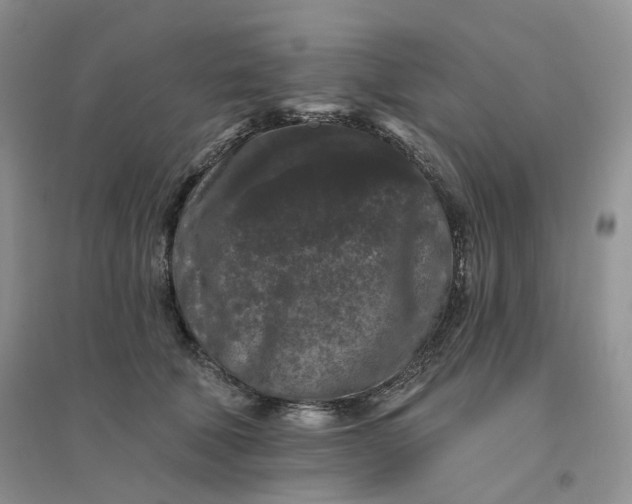 X0000096410610200802071656