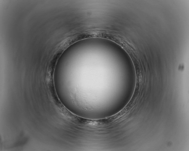 X0000096410611200802071656