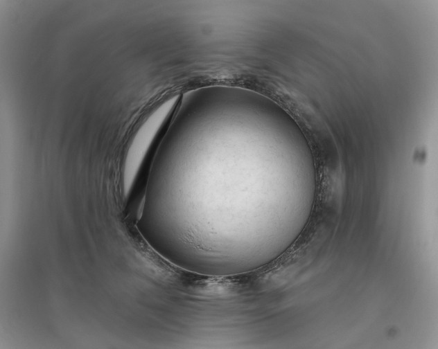 X0000096410612200802071656