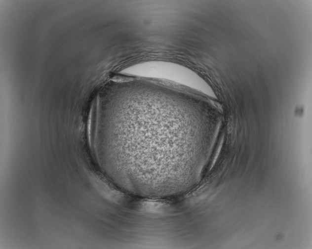 X0000096410614200802071656