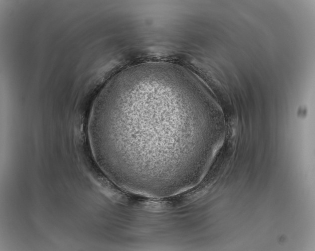 X0000096410615200802071656