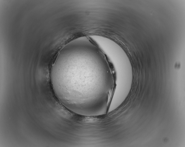 X0000096410617200802071656