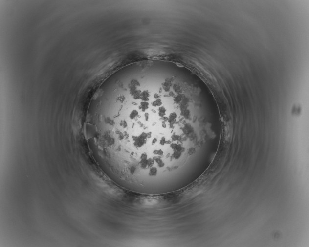 X0000096410618200802071656