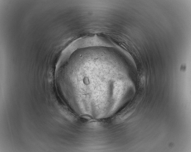 X0000096410620200802071656