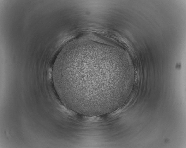 X0000096410621200802071656