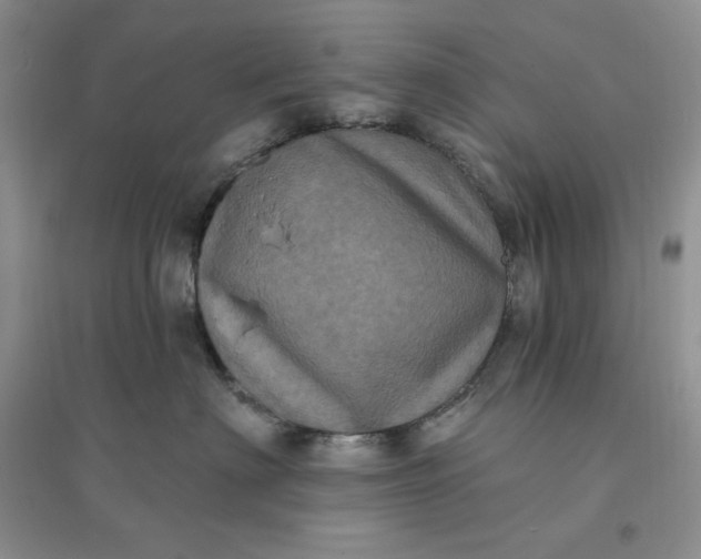 X0000096410622200802071656