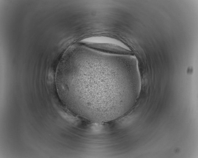 X0000096410623200802071656