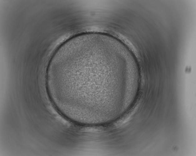 X0000096410625200802071655