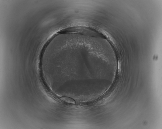 X0000096410627200802071655