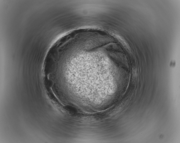 X0000096410628200802071655