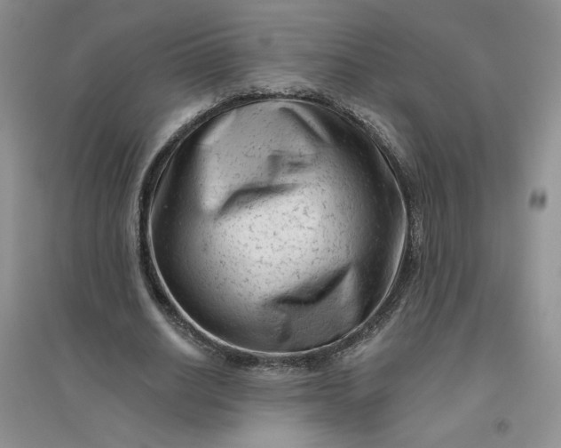 X0000096410630200802071655