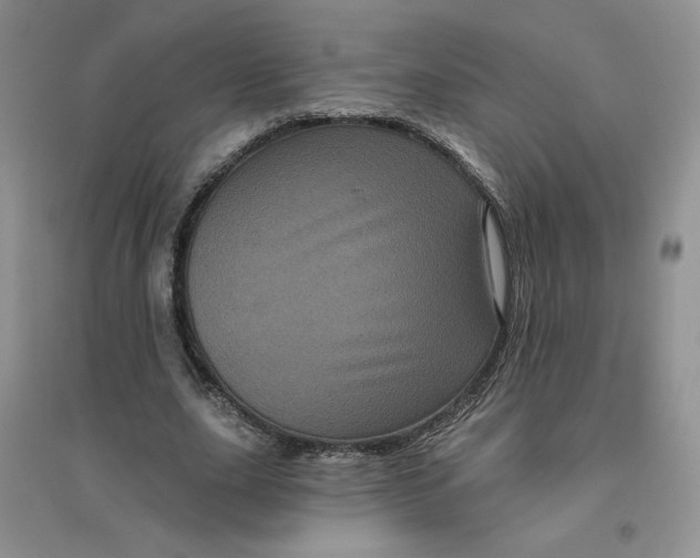 X0000096410631200802071655