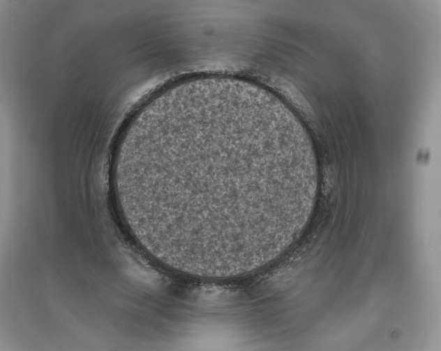 X0000096410632200802071655